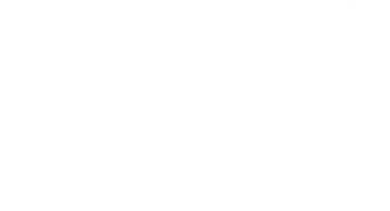 GM Seguros