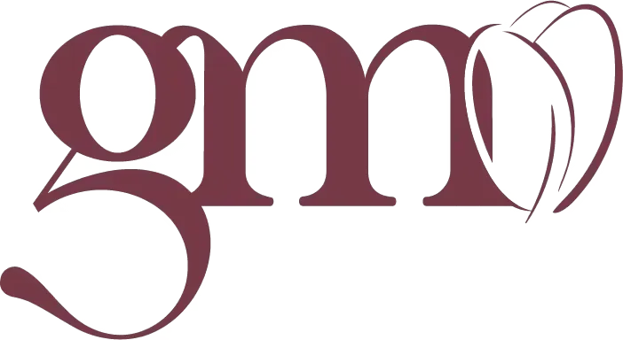 GM Seguros